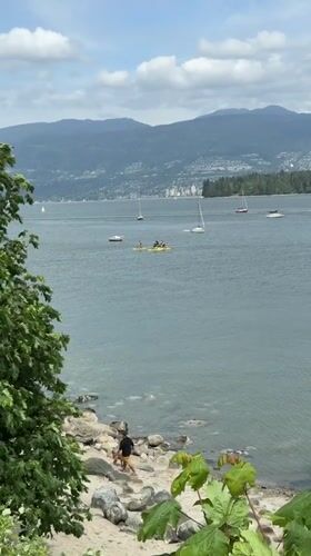 Person walks dog along Vancouver waterfront amid mountain scenery