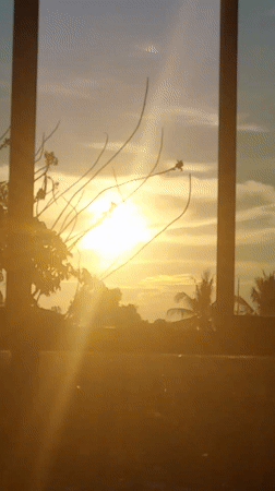 Golden sunset viewed through barred windows in Thailand