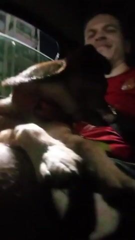 Here is a description of the video:
The video shows a man driving a car at night with a dog on his lap. The man is wearing a red shirt. The dog is a small, tan-colored dog with a brown collar. The dog is looking around. The interior of the car is dark, but the dashboard and some lights outside are visible. Music is playing in the background.
