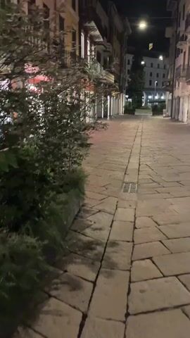 The video shows a pedestrian walkway paved with large, irregular stone slabs. The walkway is lined with buildings on the left and right, appearing to be shops or businesses, most of which are closed. Some of the shop windows are lit from within, displaying merchandise. A tree in a planter is visible on the left side of the walkway. The scene is at night, with streetlights illuminating the area. The walkway recedes into the distance, where more buildings and streetlights are visible. The overall impression is of a quiet, empty street at night.