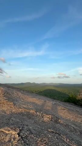 The video shows a wide shot of a landscape from a high vantage point. In the foreground is a large, smooth rock surface that slopes downwards, with visible shadows. Behind the rock surface, a dense green forest stretches out to the horizon, punctuated by small hills. The sky above is a bright blue with scattered, fluffy white clouds. As the camera pans right, a large, gray boulder comes into view, partially obscuring the forest. In the far distance, a prominent rock formation is visible.