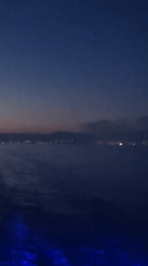 Nighttime seascape captured with distant coastline lights visible