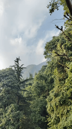 Rainy morning guitar session and meal in Indian mountains