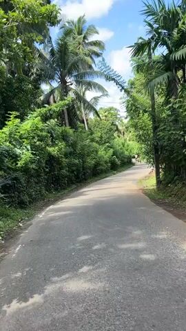 This video shows a paved road winding through a lush green environment. The road is lined on both sides with dense vegetation, including palm trees and other tropical plants. The sun is shining, casting dappled shadows on the road, and the sky is blue with scattered white clouds. The overall scene is tranquil and scenic, suggesting a rural or semi-rural location. There is no visible text in the video. The time of day appears to be daytime, likely morning or afternoon, given the bright sunlight. The weather appears to be pleasant and sunny. The location cues, such as the palm trees and dense tropical foliage, are consistent with a tropical climate, specifically Sri Lanka as indicated. The camera is moving forward, suggesting a person or vehicle is traveling along the road. There are no people visible in the video.