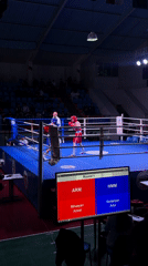 Boxing match underway in Yerevan with red, blue fighters