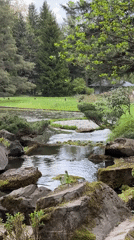 Peaceful Japanese garden documented in Moscow park setting