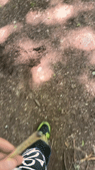 Person takes forest walk through Stara Zagora trails