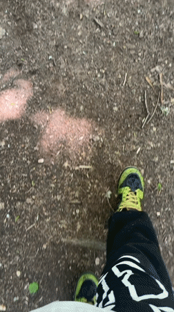 Person takes forest walk through Stara Zagora trails