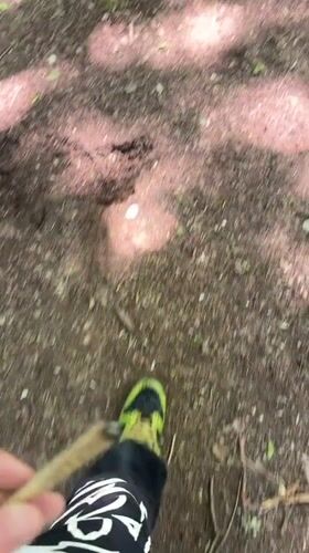 Person takes forest walk through Stara Zagora trails