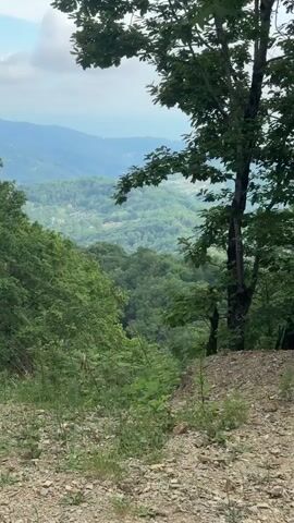The video shows a view from a wooded area looking out over a valley filled with lush green trees. In the distance, rolling hills stretch towards the horizon, and a faint body of water is visible. The sky is partly cloudy. The foreground consists of a rough, rocky path with some low-lying green plants. The camera pans slightly to the right, offering a broader view of the landscape. No people or animals are visible in the video.