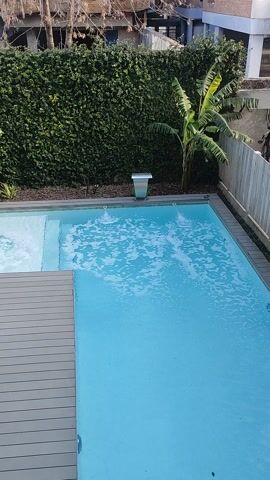 This aerial shot captures a serene outdoor scene featuring a bright blue swimming pool. The pool is surrounded by lush green foliage on one side and a contemporary wooden deck on the other. A large banana tree stands prominently against the dense greenery, adding a tropical touch. The water in the pool shows gentle ripples and some white foam, suggesting recent activity or the action of a pool cleaner. A silver pool skimmer is visible along the edge, further indicating maintenance.

The scene appears to be set in a modern residential or resort setting, possibly in Tigre, Argentina, given the context. The lighting suggests it's daytime, with no indication of specific weather conditions beyond the clarity of the water. The overall mood is one of tranquility and relaxation. There is no visible text in the media file.