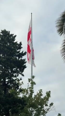 A video shows a flag flying from a flagpole, set against a cloudy sky. The flag is predominantly white with a large red cross in the center, and four smaller red crosses in each quadrant. The flag is partially obscured by foliage from trees on the left and right sides of the frame. The tree on the left is tall and dark green, while the trees in the foreground are lighter green and appear to be in leaf. The flagpole is tall and silver.