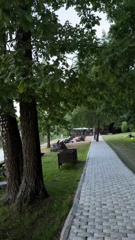 A paved pathway runs along the right side of the frame. To the left of the pathway is a grassy area with several lounge chairs scattered throughout. Three large trees stand on the left side of the frame, their leaves forming a canopy overhead. Beyond the trees, a body of water is visible, with more lounge chairs and a few small wooden benches on the grassy bank. In the distance, there appears to be a small building or shelter with umbrellas. The overall scene suggests an outdoor recreational area, possibly a park or resort, situated by a lake or pond. There are no people visible in the video.