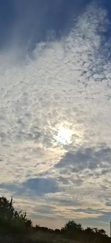 This is a vertical video of a sky filled with clouds and the sun. The sun is partially obscured by clouds, creating a soft, diffused light. The clouds are varied in texture and density, with some appearing wispy and others more substantial. There are patches of blue sky visible between the clouds. The bottom of the frame shows the tops of trees and a utility pole, suggesting an outdoor, possibly rural or suburban, setting. The light and cloud formation suggest it is daytime, likely morning or late afternoon, given the angle of the sun. There are no people or explicit objects other than the natural elements of the sky and vegetation. No text is visible in the video.