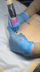Tattoo artist observed working with surgical gloves in Sofia