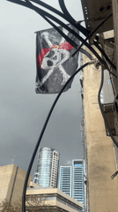 Street art and graffiti documented across Tel Aviv