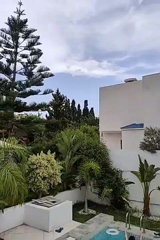 The video shows a backyard scene with a white house and a swimming pool. There is lush green vegetation, including palm trees and a tall pine tree. The sky is partly cloudy. In the swimming pool, a person is visible in the water.