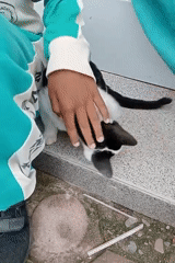 Children play with kitten, perform dances in Indonesian village