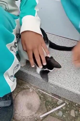 Children play with kitten, perform dances in Indonesian village
