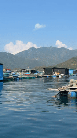 Fish farm structures documented in Vietnamese waters