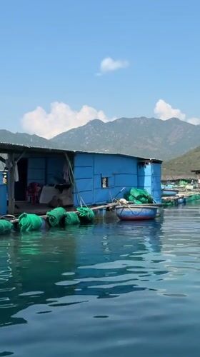 Fish farm structures documented in Vietnamese waters