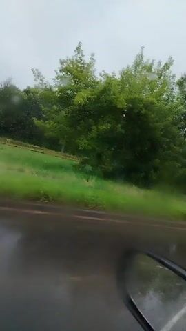 The video shows a side view of a car traveling on a wet road. Green trees and foliage line the side of the road. Raindrops are visible on the car's side mirror and on the windshield, blurring the view. The sky appears overcast and gray. The overall impression is of a rainy day drive through a rural or wooded area.