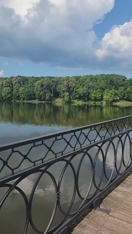 The video pans across a wooden boardwalk with a decorative black metal railing. Beyond the railing is a calm body of water, reflecting the lush green trees and blue sky with white clouds. The trees form a dense line along the far bank of the water. The boardwalk appears to be part of a park or scenic area. In the distance, a few figures can be seen walking on the boardwalk, and there is a tall lamppost on the right side of the frame. The overall atmosphere is peaceful and serene.