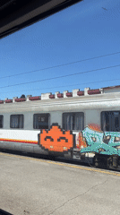 Graffitied trains spotted at Podgorica station Sunday morning