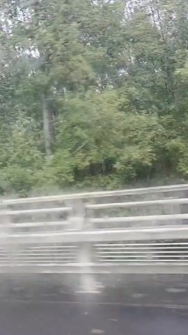 The video, shot from within a vehicle, shows a view over a bridge railing onto a multi-lane highway in overcast, rainy weather. Sparse traffic consisting of cars and a van is visible on the wet roadway. The roadside is lined with trees. A large highway sign is visible.