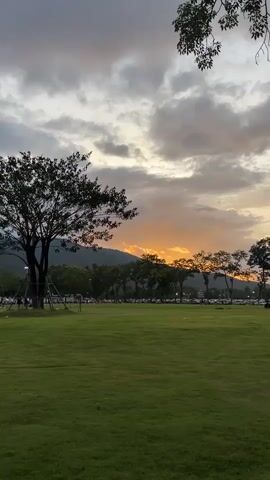 This video captures a panoramic view of a grassy field with a line of trees in the background. A large tree stands prominently on the left side of the frame, with a few people visible near its base. In the distance, a mountain range is silhouetted against a cloudy sky, with the sun setting behind it, casting an orange glow. Cars are parked along the edge of the field, and a few more trees are scattered throughout the landscape. The overall scene depicts a peaceful outdoor setting during sunset.