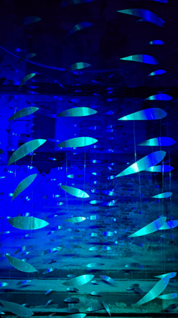 Art installation with suspended objects documented in Kaliningrad