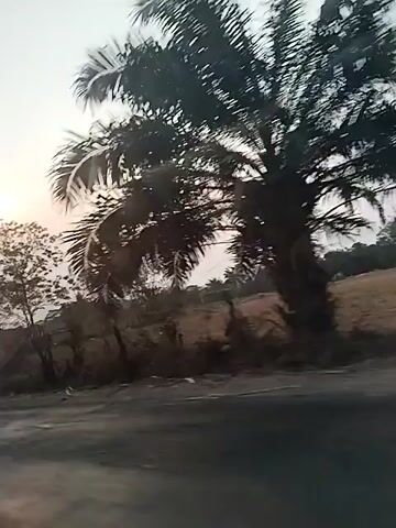 The video shows a view from a moving vehicle looking out at a landscape during daylight. The sky is overcast with a pale sun visible on the left side of the frame. Power lines stretch across the sky, intersecting at various points. Trees and vegetation line the side of a road. In the distance, there appear to be some structures, possibly houses, and agricultural fields. The motion of the vehicle causes the scenery to blur and streak, especially the vegetation on the right side of the frame. There are no people visible in the video. The overall impression is of a rural or semi-rural environment.