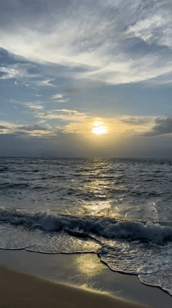 Ko Samui beachfront: palms, surf, and open-air spots at golden hour