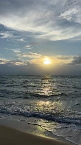 Ko Samui beachfront: palms, surf, and open-air spots at golden hour