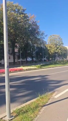 A daytime outdoor video clip shows a street scene with a wide road and a sidewalk. There is a line of trees and buildings on the left side of the road. On the right side of the road, there are street signs, including a pedestrian crossing sign and a bicycle lane sign. Cars are visible driving on the road. The sky is clear and blue. The video appears to be filmed from a moving vehicle or person on the sidewalk.