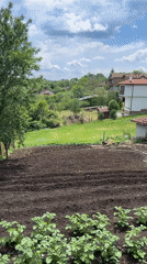 Rural garden activity and dog captured in Krushevets, Bulgaria