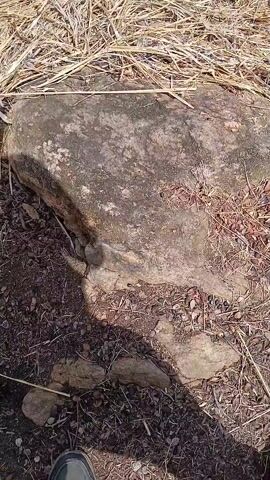 The video begins with a close-up of a rock on the ground, partially covered in dry grass and leaves. The camera then pans up to reveal a wide shot of a scenic waterfall. The waterfall is wide, with multiple tiers of water cascading over dark rocks into a dark-colored river. The river is bordered by more rocks, and a few small trees and bushes are visible along the shoreline. In the background, the horizon is lined with trees, and the sky is partly cloudy.
