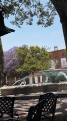 Young people socialize at cafes, plazas in San Andrés Cholula