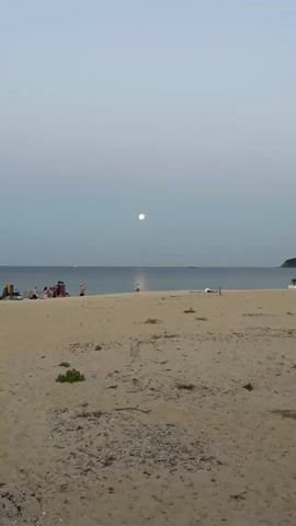 The video shows a beach scene with the moon in the sky. The moon is visible and appears bright. The sea is calm and reflects the moonlight. There are a few people on the beach and in the water. On the beach, there are a few individuals gathered near the water's edge, and further back, there appears to be a group of people standing. In the water, two individuals are visible, wading. The sand on the beach is a light brown color. The sky is a pale blue-gray, indicating either dawn or dusk. There are some small plants and debris scattered on the sand.
