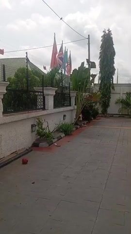 This video displays a walkthrough of an outdoor courtyard area with a white building. The courtyard is paved with large, dark grey interlocking stones, with a decorative red and black border along the edges. To the left, a low white wall with black decorative railings separates the courtyard from a garden area. Several flags are visible behind the wall, including what appears to be an American flag. Tall, slender, dark green trees stand in a row along the back of the courtyard, near a white fence.

The building itself is modern, with a white facade and a section of exposed brickwork with multiple grey-framed windows. There are outdoor lights mounted on the white wall. An air conditioning unit is visible outside one of the doors. The landscaping includes gravel beds with small white stones and some greenery. The scene appears to be set during the daytime, under an overcast sky, suggesting cloudy weather. There are no people visible in the video, and the overall mood is calm and serene, focusing on the architecture and grounds. The location cues, such as the building style and vegetation, align with a tropical or sub-tropical setting, as suggested by the Ijapo, Nigeria context.