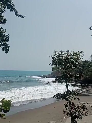 A video shows a natural scene with a body of water, likely the ocean, with waves crashing onto a dark sand beach. There are trees present, with some foliage in the foreground and a larger tree with dark leaves in the mid-ground. The sky is overcast and light. There are no people visible in the video.