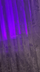 Purple-lit patterned curtain observed in Bender, Moldova window