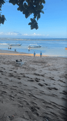 Morning beach scene captured in Denpasar with swimmers, boats