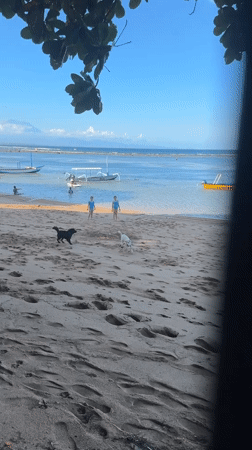 Morning beach scene captured in Denpasar with swimmers, boats