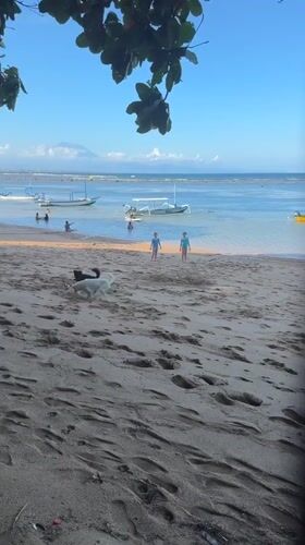 Morning beach scene captured in Denpasar with swimmers, boats