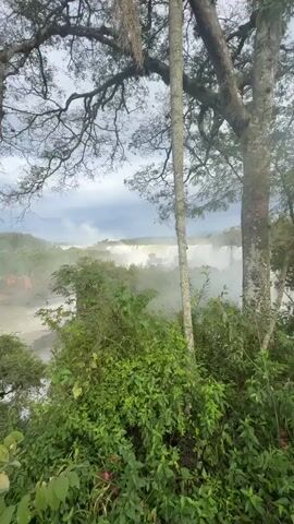 The video captures a view of a wide river flowing through a lush, green landscape. Trees with dense foliage dominate the foreground, with branches extending into the frame. In the distance, a large waterfall is visible, shrouded in mist. The sky is overcast with dramatic clouds. The water appears murky and brown. The camera pans slightly to the right, offering a wider perspective of the scene. No people or specific actions are depicted.