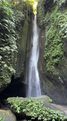 Early morning nature exploration documented in Baturiti, Indonesia