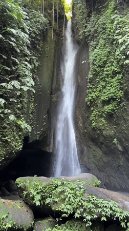 Early morning nature exploration documented in Baturiti, Indonesia