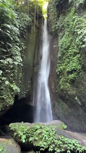 Early morning nature exploration documented in Baturiti, Indonesia
