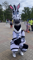Early morning carnival activity recorded at Dynamo Park Khabarovsk